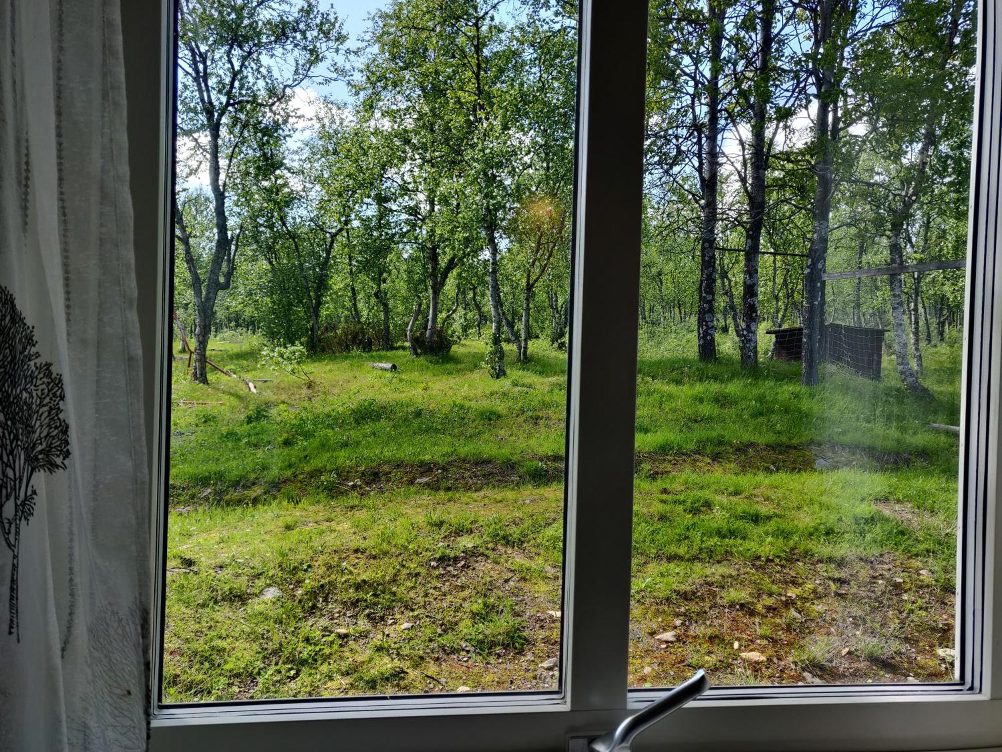 Husky Lodge Hostel Kiruna Rom bilde