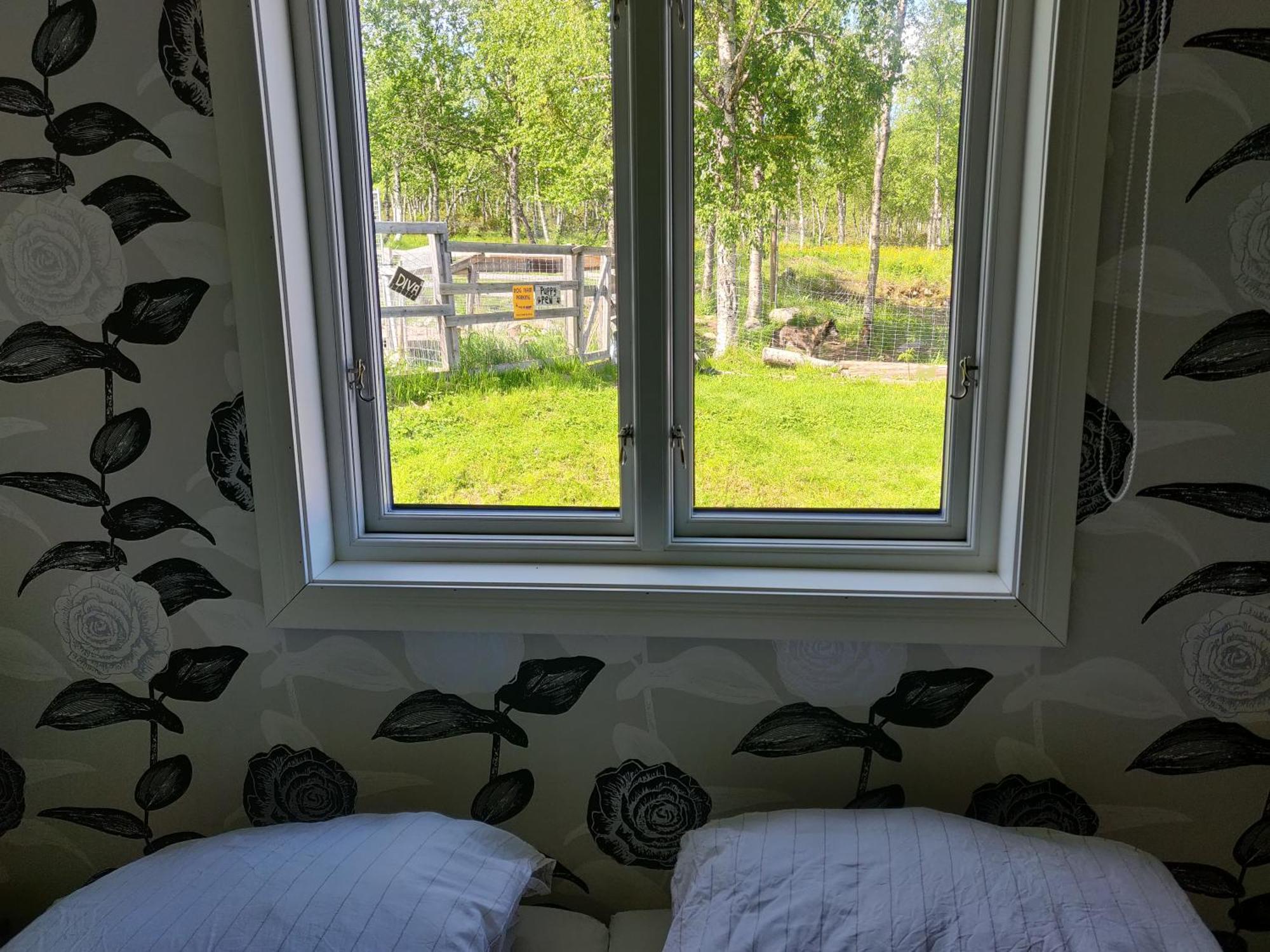 Husky Lodge Hostel Kiruna Rom bilde